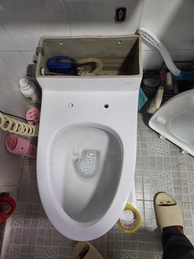 변기 막힘 처리: 변기막힘