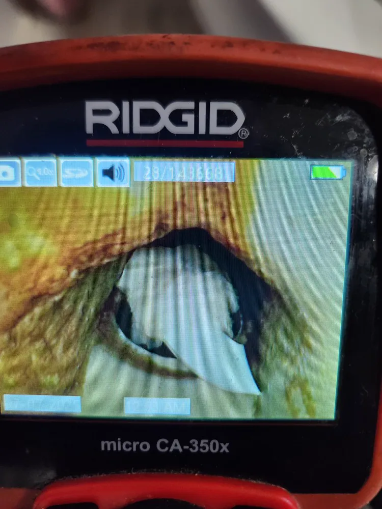 변기 막힘 처리: 이물질 발견